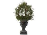 Pond Cypress Topiary Plant with Urn