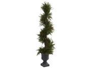 Mini Pine Spiral Plant with Urn
