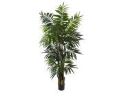 Bulb Areca Silk Palm Tree