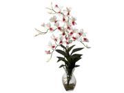 White Dendrobium Orchid Arrangement