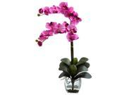 16 in. Phalaenopsis Orchid Vase Arrangement in Mauve