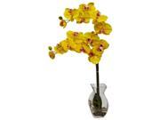 Phalaenopsis Orchid Vase Arrangement in Yellow