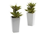 2 Pc Mini Agave with Planter Set