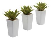 3 Pc Mini Agave with Planter Set