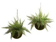 2 Pc Leather Fern with Mossy Hanging Basket Set