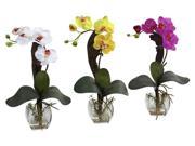 3 Pc Phalaenopsis Orchid Vase Arrangement Set