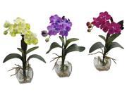 3 Pc Vanda Orchid Vase Arrangement Set