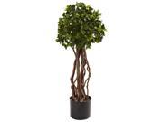 30 in. English Ivy Topiary Tree