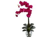 Double Phalaenopsis Orchid Vase Arrangement