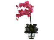 16 in. Phalaenopsis Orchid Vase Arrangement in Dark Pink