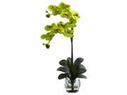 16 in. Phalaenopsis Orchid Vase Arrangement in Green