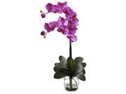 16 in. Phalaenopsis Orchid Vase Arrangement