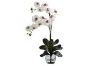 16 in. Phalaenopsis Orchid Vase Arrangement in White