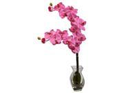 Phalaenopsis Orchid Vase Arrangement in Dark Pink
