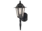 1 Light 18 in. Wall Lantern Clear Seed Glass