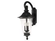3 Light 27 in. Wall Lantern Arm Down Fluted Seed Glass