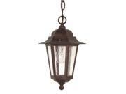 1 Light 13 in. Hanging Lantern Clear Seed Glass