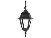 1 Light 10 in. Hanging Lantern Clear Glass