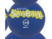 12lb Rhino Slam Ball