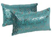 Throw Pillow in Teal and Silver