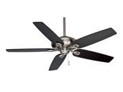 Indoor Ceiling Fan