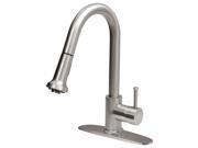 Pull Out Spray Kitchen Faucet with Deck Plate