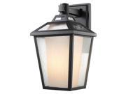 1 Light Outdoor Wall Light with Clear Seedy Shade