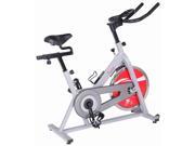 Indoor Cycling Bike in Silver Finish