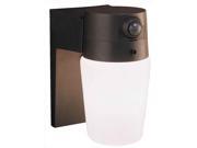 Entryway Security Light in Bronze Finish
