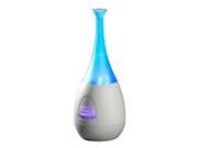 Ultrasonic Anion Diffuser in Blue and Gray