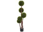 Boxwood Topiary with 5 Canopies