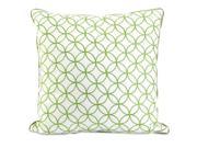 Essentials Embroidered Pillow in Green