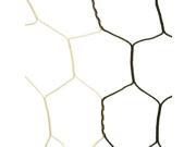 Hexagonal Soccer Net Set of 2
