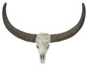 BENZARA 78856 Spectacular Long Horn Skull