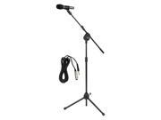 Microphone and Tripod Stand