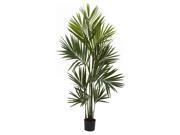 Kentia Palm Silk Tree