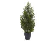 Mini Cedar Pine Tree