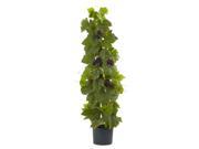 G Leaf Deluxe Climbing Plant