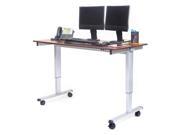 Electric Standing Desk with Silver Base