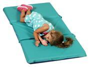 Infection Control Mat in Teal and Blue