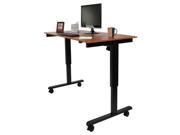 60 in. Electric Standing Desk