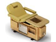Golden Touch Spa Table w Foot Tub Camel