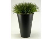 Two Tone Wild Grass in Tall Round Planter