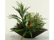 Mini Staghorn Fern and Mixed Foliage in Oblong Planter
