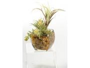 Tillandsia and Easter Grass in Glass Cube