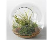 Glass Sphere with Easter Grass Flocked Burro Tail and Echeveria