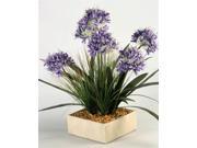 Blue Agapanthus and Mixed Greenery in Cement Planter