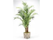 8 ft. Kentia Palm in Weathered Wooden Box Planter