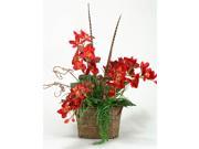 Red Orchids with Fern and Feathers in Oval Basket with Handles
