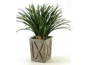 Green Areca Grass in Weathered Planter Box